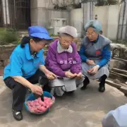 温江集体养老服务在运营过程中面临过哪些挑战与机遇？