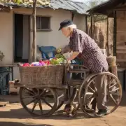 为什么要进行完善农村养老服务呢？