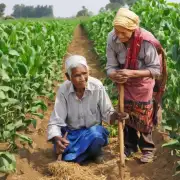哪些政策措施可以支持农民在家庭农场经营中的养老需求得到满足？