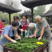 苏州漕湖社区养老服务提供哪些服务？