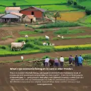 什么是共享经济模式对农村地区老人照顾方面的影响及其应用前景？它能够为农民家庭带来什么好处或挑战吗？