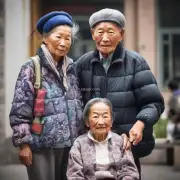 什么是中国的老年人口结构？