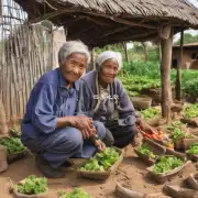 对于那些已经拥有自己的小型农场的老年人来说他们应该如何利用这个农村养老服务符号获得更多的支持并提高他们的生活质量？