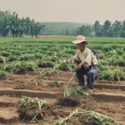 为什么建立农村互助养老服务体系对于提高农民的福利和社会稳定具有重要意义?