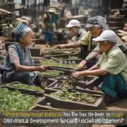 养老服务区产业发展对社会发展的影响是什么?